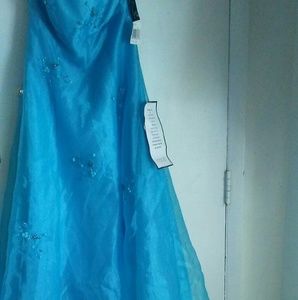 Zam Zam by Niki Livas